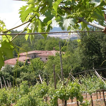 Agriturismo Ca' Verde SantʼAmbrogio di Valpolicella المظهر الخارجي الصورة
