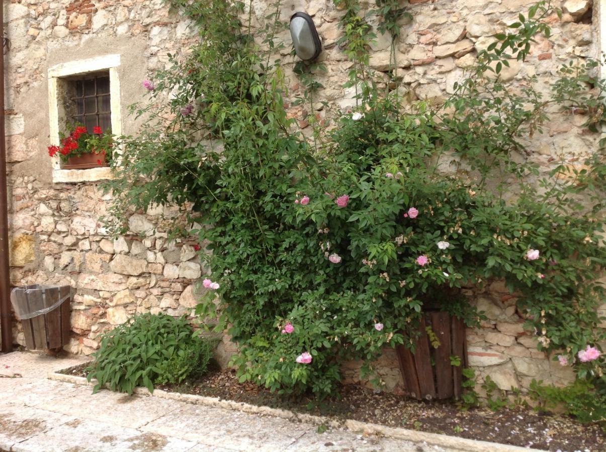 Agriturismo Ca' Verde SantʼAmbrogio di Valpolicella المظهر الخارجي الصورة