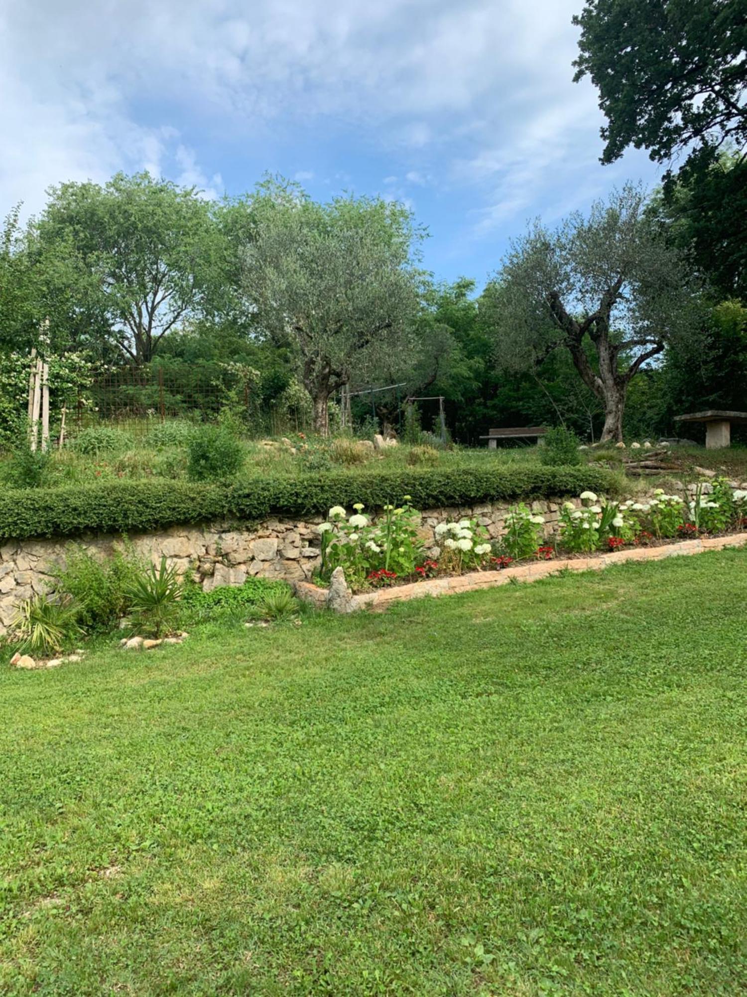 Agriturismo Ca' Verde SantʼAmbrogio di Valpolicella المظهر الخارجي الصورة