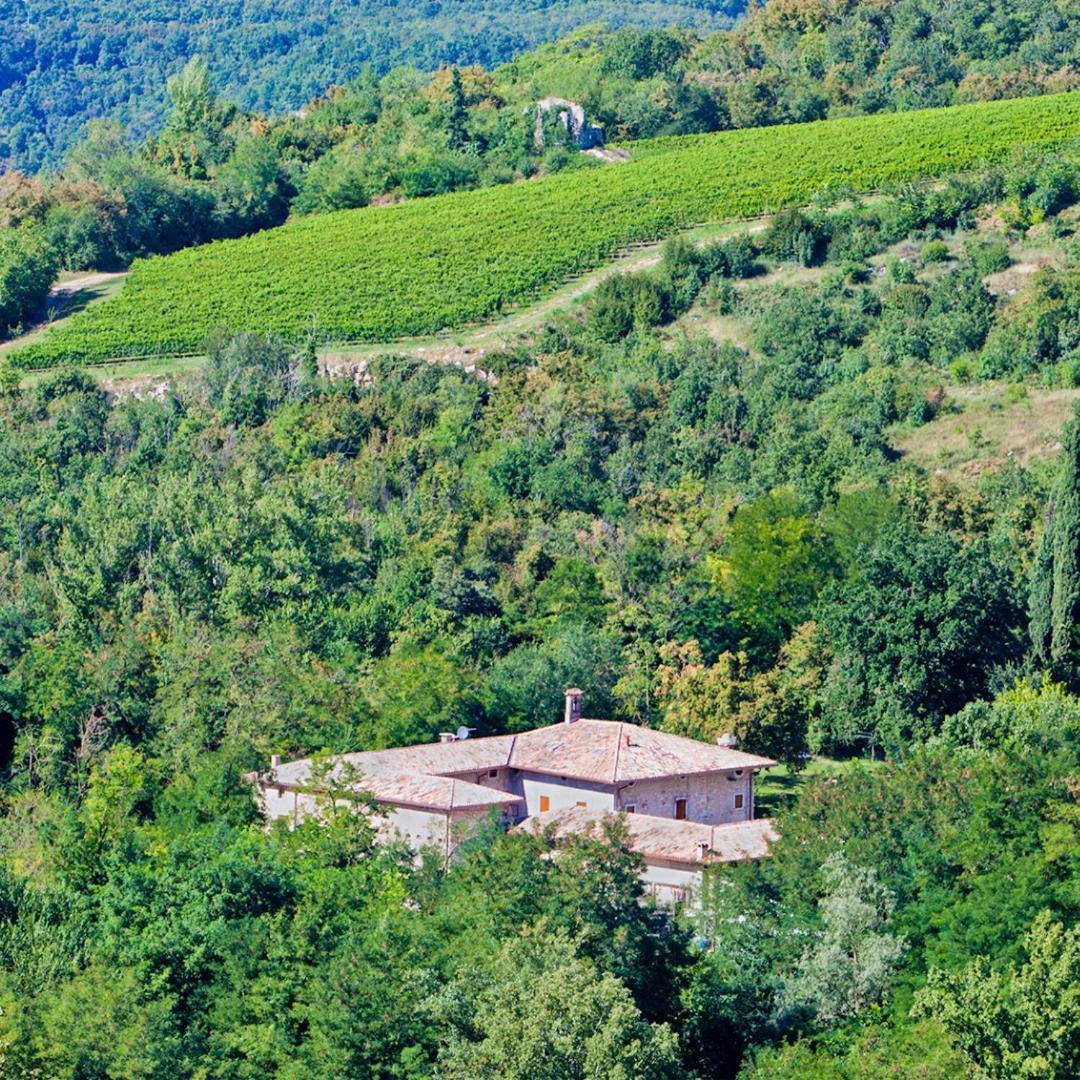 Agriturismo Ca' Verde SantʼAmbrogio di Valpolicella المظهر الخارجي الصورة